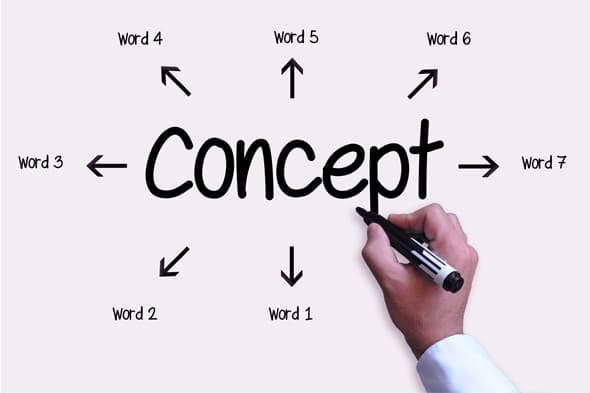 Concept & Feasibility